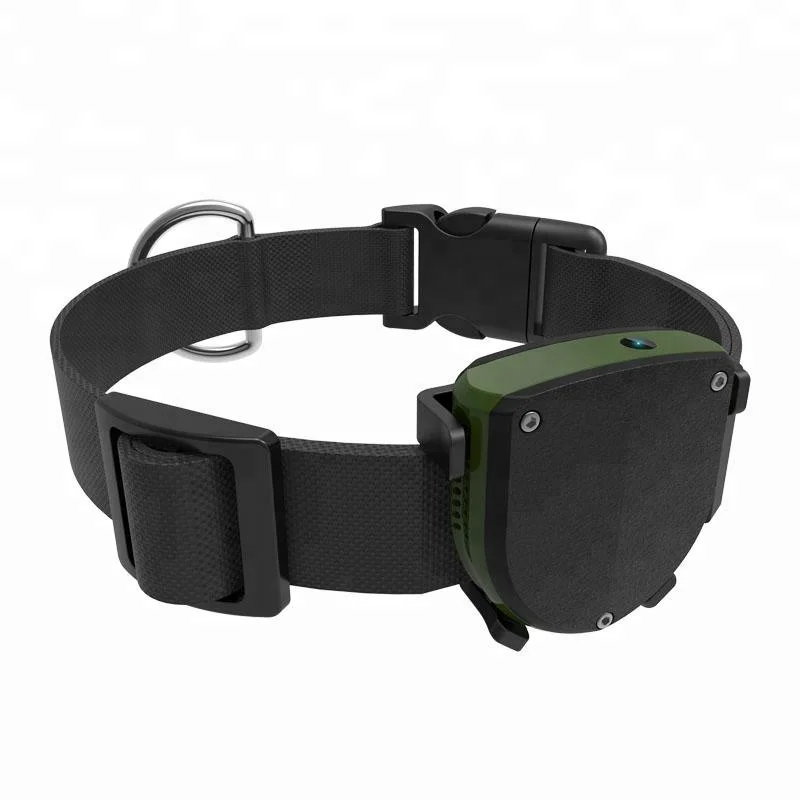 GPS Pet Tracker for Dogs and Cats Real time tracking